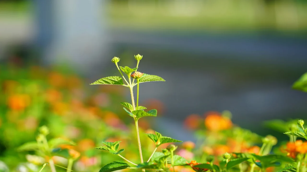 Cómo recuperar tu vivienda tras una ejecución hipotecaria si hubo cláusulas abusivas